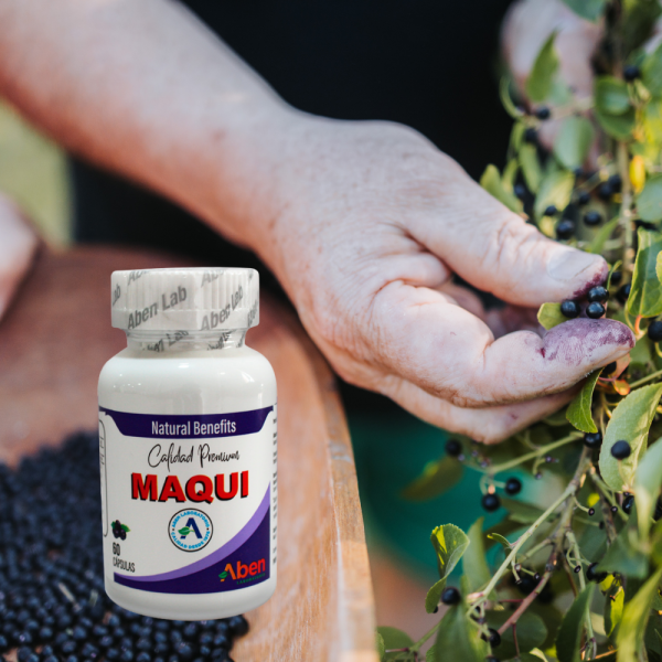 Maqui chileno