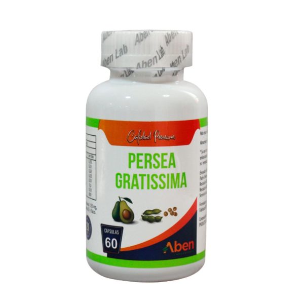 Persea Gratissima